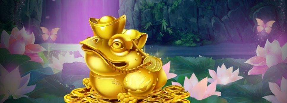 Odbierz darmowe spiny na automacie Gold Money Frog tylko w czwartek w Betssonie