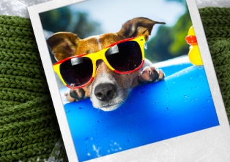 Kasyno comeon bonus 500 pln 1